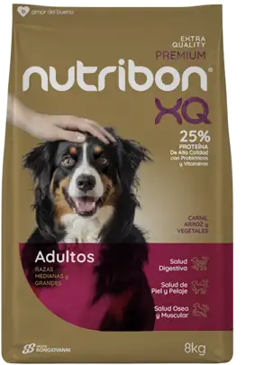 Una línea de alimento para perros  para cada uno de ellos