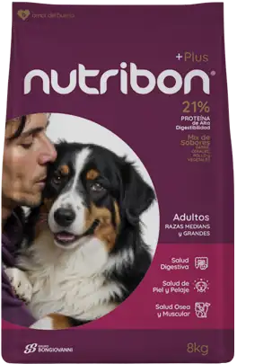 Una línea de alimento para perros  para cada uno de ellos